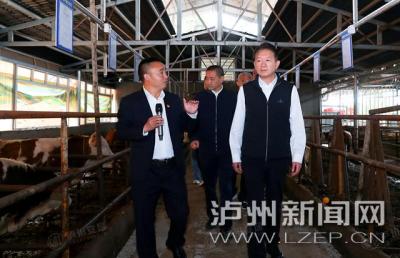 杨林兴带队到“南翼”开展全市村（社区）党组织书记现场观摩交流