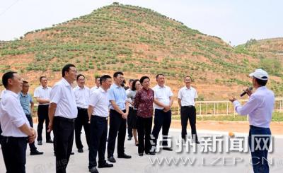 泸州永川江津人大常委会开展共建“巴蜀鱼米之乡”集中视察