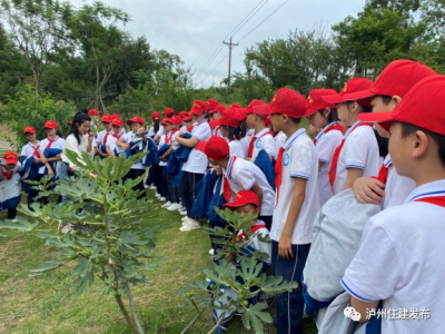 国际生物多样性日 | 走进植物世界 探寻植物奥秘