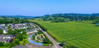 美丽乡村焕新计划 | 泸州住建推出设计师下乡服务活动