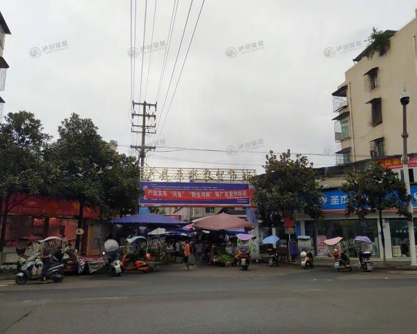 /upload/house/202328/cv14vdn8v1jko2ia3oihap8uap_1689128466277.jpg