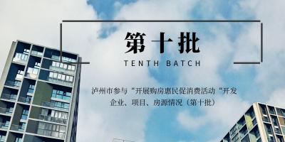 泸州市参与“开展购房惠民促消费活动“开发企业、项目、房源情况（第十批）